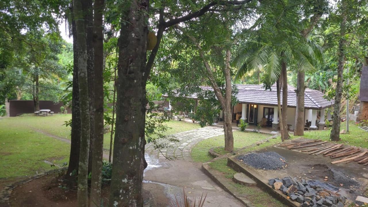 Villa D55 Kandy Dış mekan fotoğraf