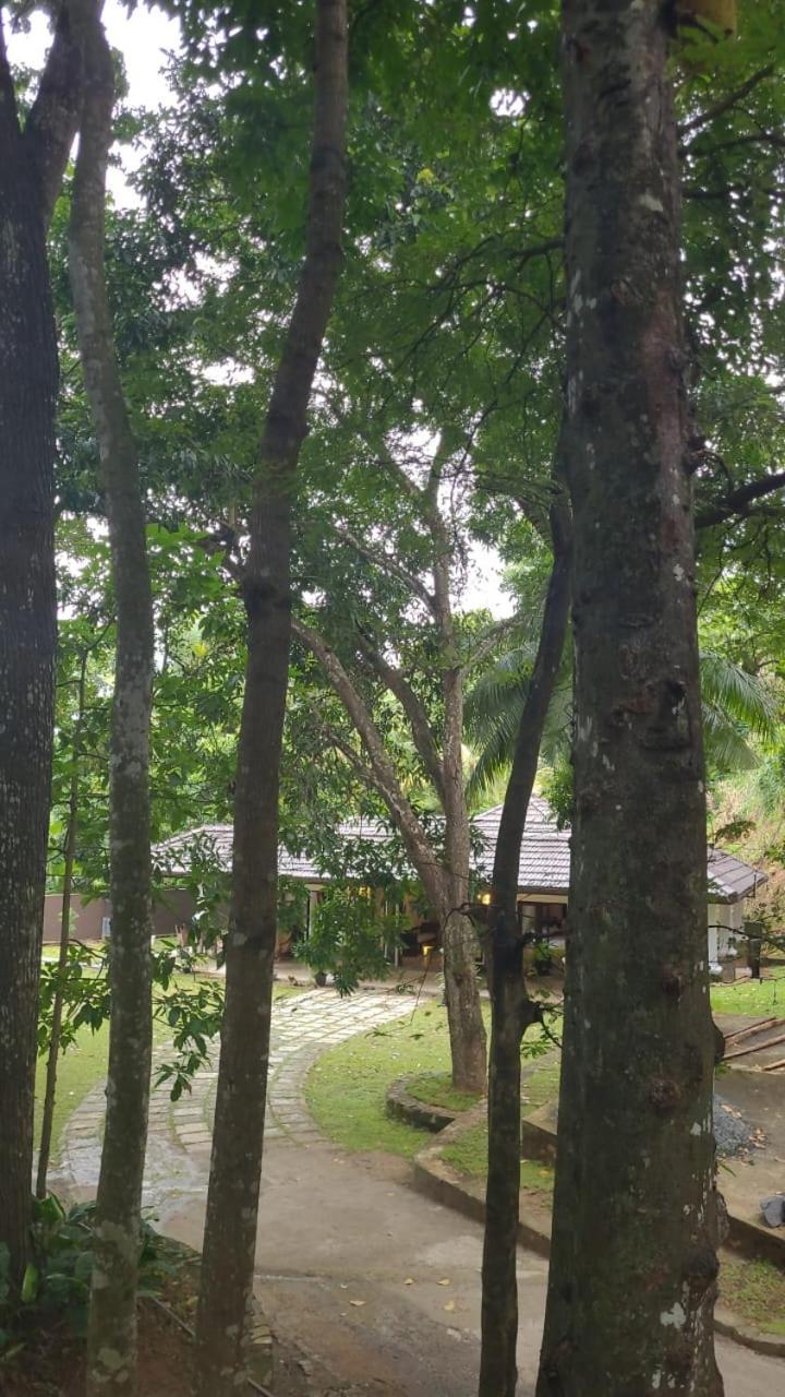 Villa D55 Kandy Dış mekan fotoğraf