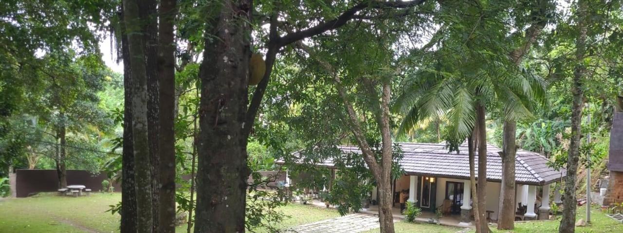 Villa D55 Kandy Dış mekan fotoğraf